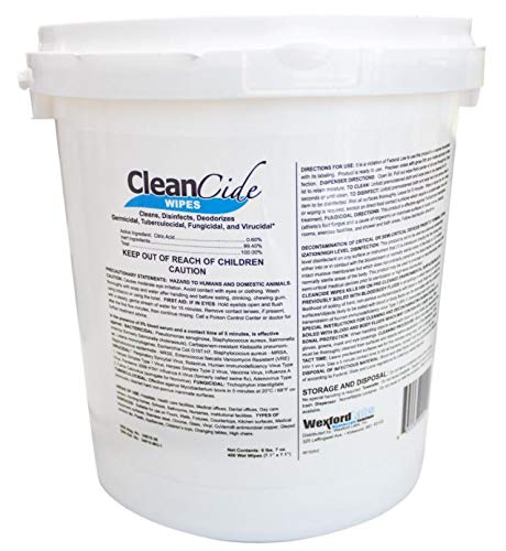 Clean Cide Wipes
